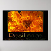 Poster Résilience (Devant)