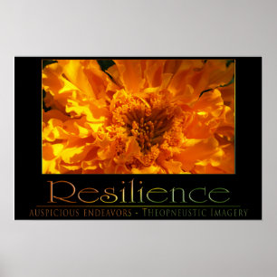 Poster Résilience