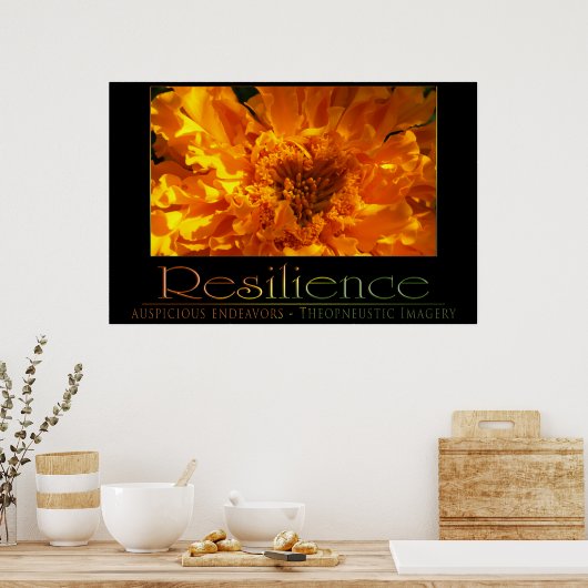 Poster Résilience (Cuisine)