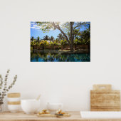 Poster resort spa (Cuisine)