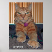 Poster Respecter l'affiche de chat Baz (Devant)