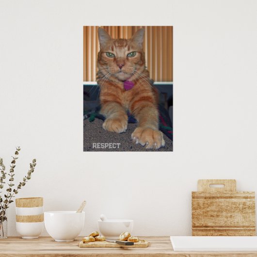 Poster Respecter l'affiche de chat Baz (Cuisine)