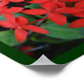 Poster Respectez votre caractère unique (Coin)