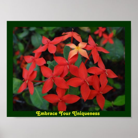 Poster Respectez votre caractère unique (Devant)