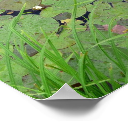 Poster Respire (Coin)