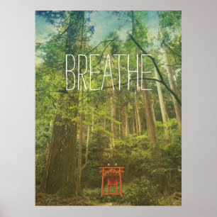 Poster Respire le Kyoto Shinto Shrine Forêt Arbres Nature