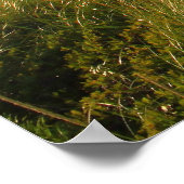 Poster Responsable du Meadow Beach Truro Cape Cod (Coin)