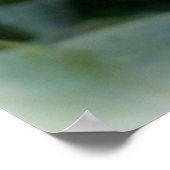 Poster ressort coloré Pansy (Coin)