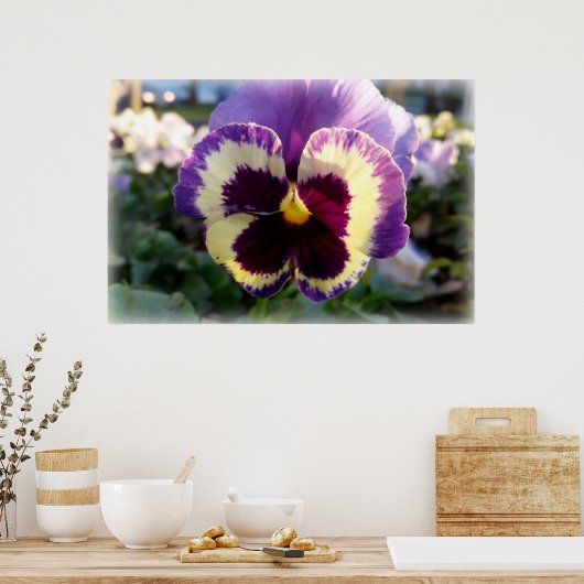 Poster ressort coloré Pansy (Cuisine)