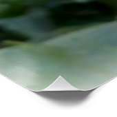 Poster ressort coloré Pansy (Coin)