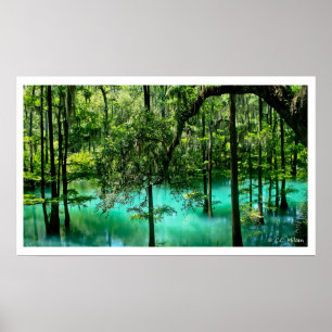 Poster Ressort de radium, Albany, Géorgie