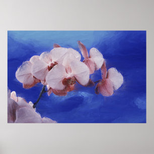 Poster Ressort d'orchidée