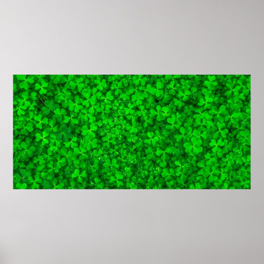 Poster Ressort shamrock vert feuille (Devant)
