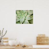 Poster Ressort Succulent (Cuisine)