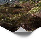 Poster ressorts de palmiers (Coin)