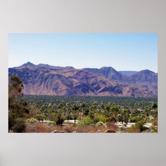 Poster ressorts de palmiers (Devant)