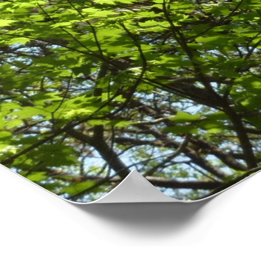 Poster Ressource Feuille (Coin)