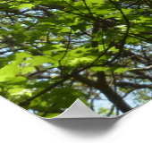 Poster Ressource Feuille (Coin)