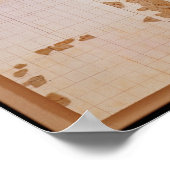 Poster Reste d'un cadastre (Coin)