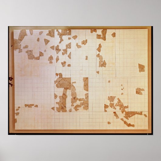 Poster Reste d'un cadastre (Devant)