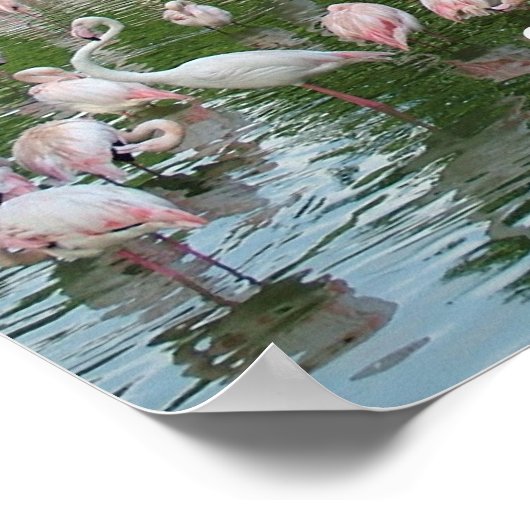 Poster rester ensemble (Coin)