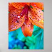 Poster restes de pluie estivale (Devant)