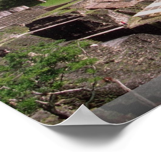 Poster restes mayas, Tikal, Guatemala (Coin)