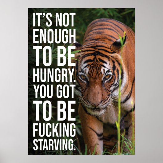Poster Restez affamé ou affamé, tigre, succès Gym Hustle (Devant)