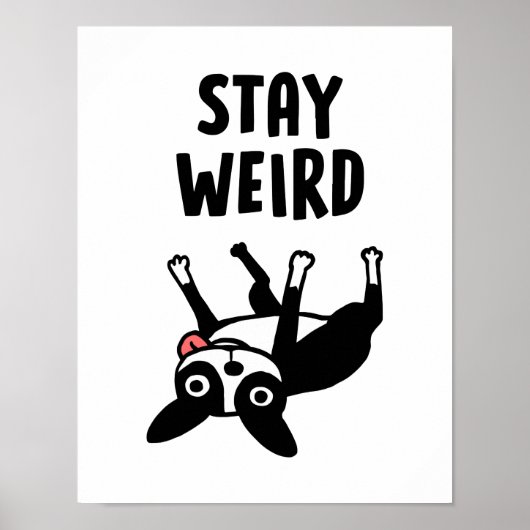 Poster Restez bizarre Boston Terrier Funny Chien (Devant)