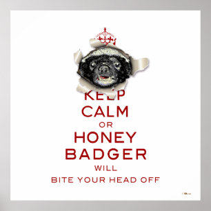 Poster Restez calme ou blaireau de miel...