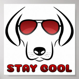 Poster Restez Cool - Chien