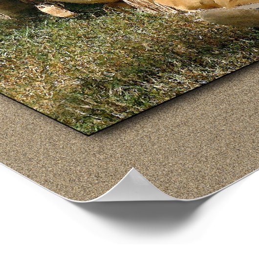 Poster Restin' à midi (Coin)