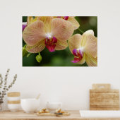 Poster Restons ensemble. (Cuisine)