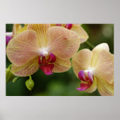 Poster Restons ensemble. (Devant)