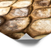 Poster Reticulated python skinpython, skin, snake, réticu (Coin)