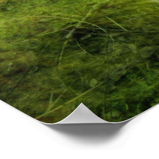 Poster Retour à la maison (Coin)