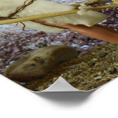 Poster Retour à la maison après la chasse. (Coin)