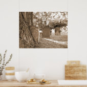 Poster Retour à la nature - Gravestones et arbres (Cuisine)