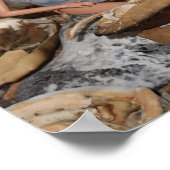 Poster Retour de la chasse. (Coin)