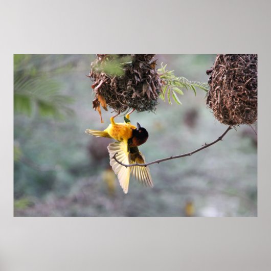 Poster Retourné (Devant)