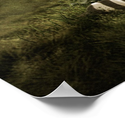 Poster retraite (Coin)