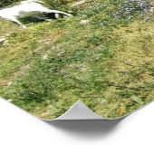 Poster Retraite de chèvres (Coin)