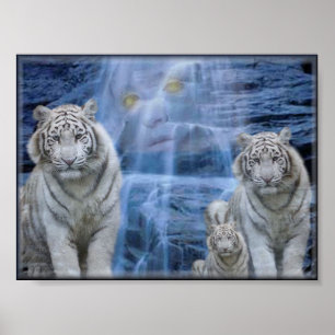 Poster retraite de tigres
