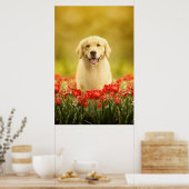 Poster Retraite d'or en fleurs rouges (Cuisine)