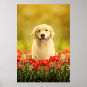 Poster Retraite d'or en fleurs rouges (Devant)