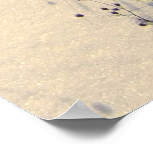 Poster Retriever de Chesapeake (Coin)