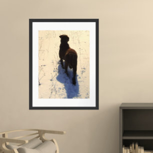 Poster Retriever de Chesapeake
