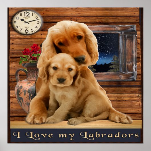 Poster Retriever du Labrador (Devant)