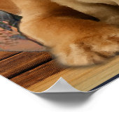 Poster Retriever du Labrador (Coin)