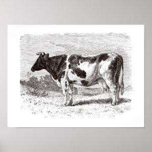 Poster Rétro modèle de vaches vache néerlandaise vintage
